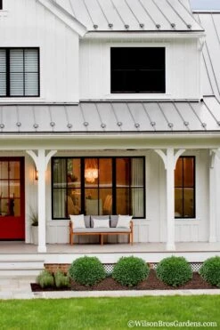 Korean Dwarf Boxwood - Buxus Sinica Var. Insularis 'Nana' - 6 Pack Of 1 Gallon Pots -Best Plant Shop Boxwood Korean Dwarf Insularis Nana 4