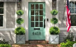 Green Mountain Boxwood 3-Ball Poodle Tier Topiary - 6 Gallon Pot -Best Plant Shop buxus green mountain 3 ball topiary 20