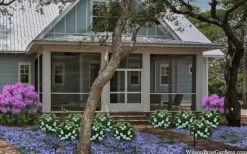 Snow Globe Gardenia - 1 Gallon Pot 13 Snow Globe Gardenia - 1 Gallon Pot -Best Plant Shop gardenia jasminoides snow globe 2 1