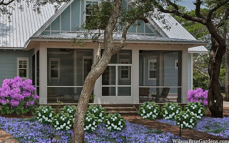 Snow Globe Gardenia - 3 Gallon Pot 8 Snow Globe Gardenia - 3 Gallon Pot - Image 6